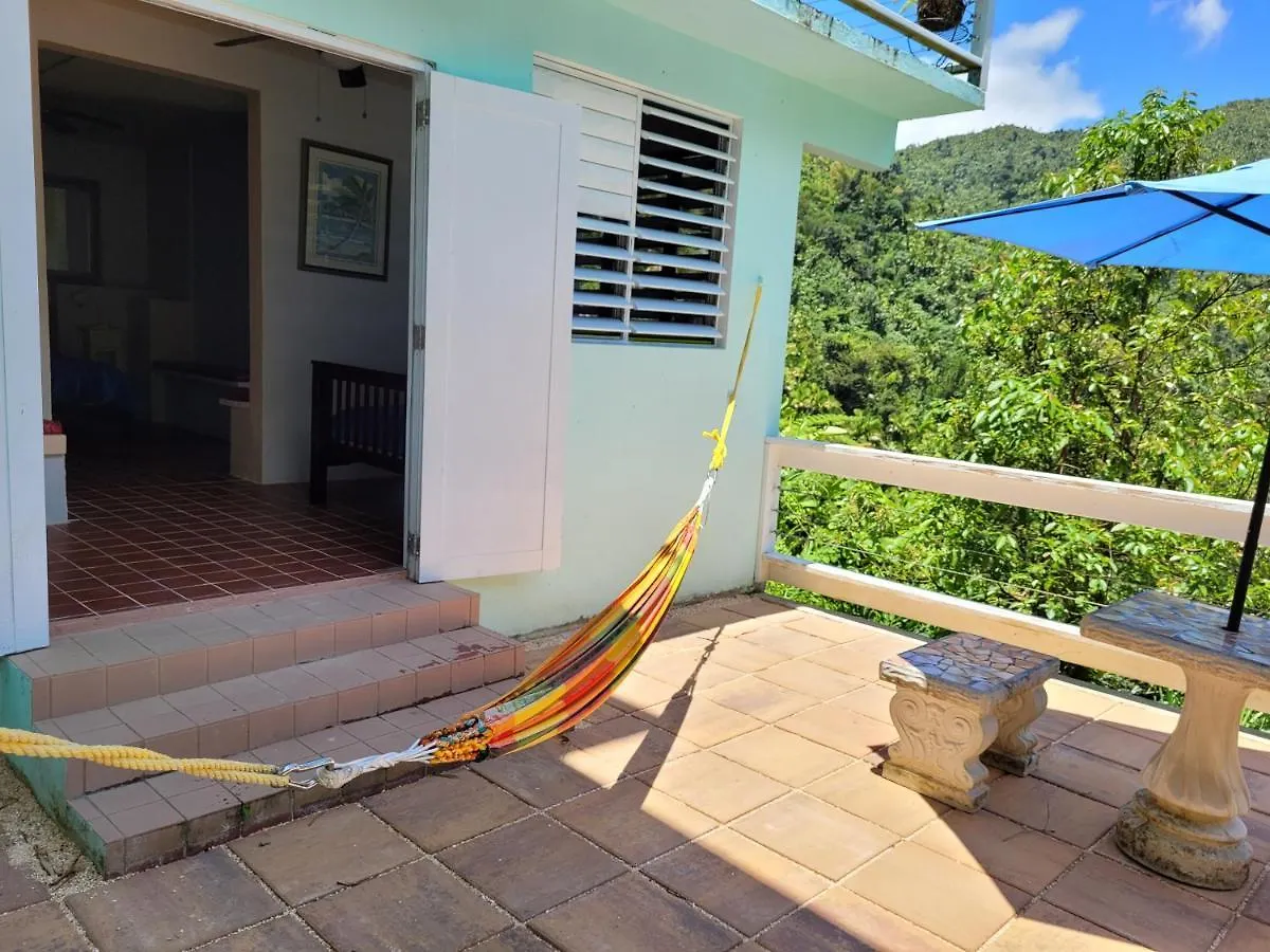Casa Cubuy Ecolodge Naguabo Bed & Breakfast