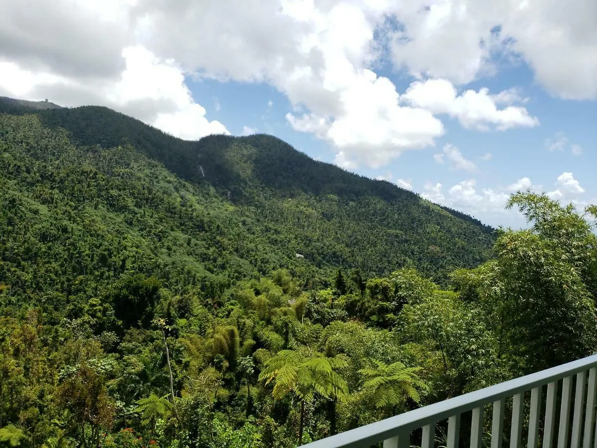Casa Cubuy Ecolodge Naguabo Bed & Breakfast