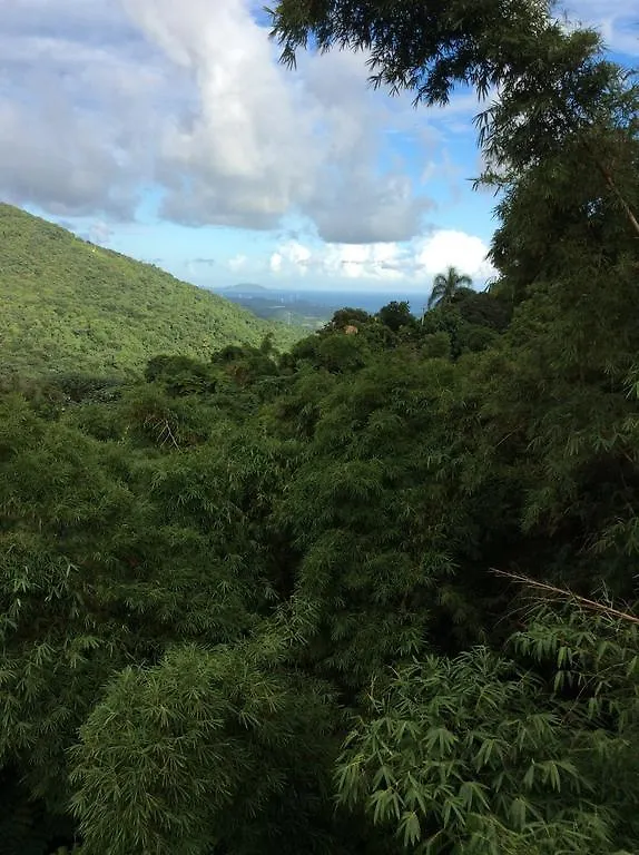Oda ve Kahvaltı Casa Cubuy Ecolodge Naguabo